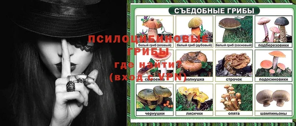 хмурый Горно-Алтайск