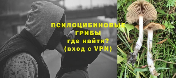 хмурый Горно-Алтайск