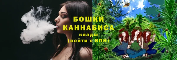стаф Горнозаводск