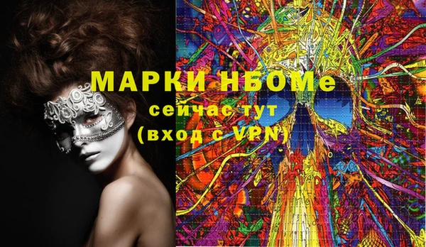 хмурый Горно-Алтайск
